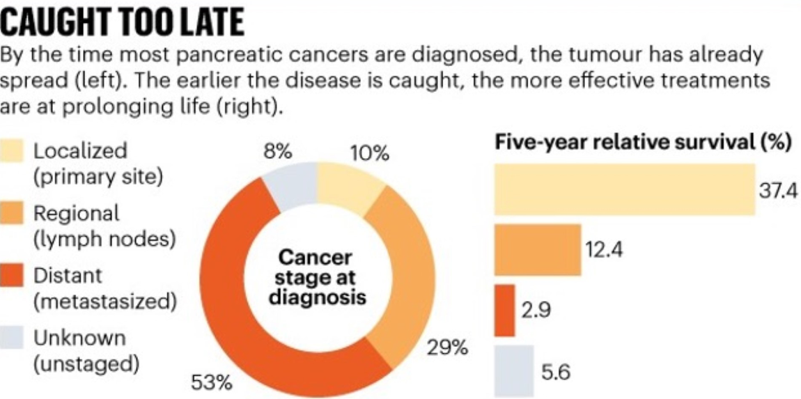 The Importance of Early Detection in Pancreatic Cancer